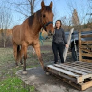 Meet your Posher, Sweetpea's Homestead